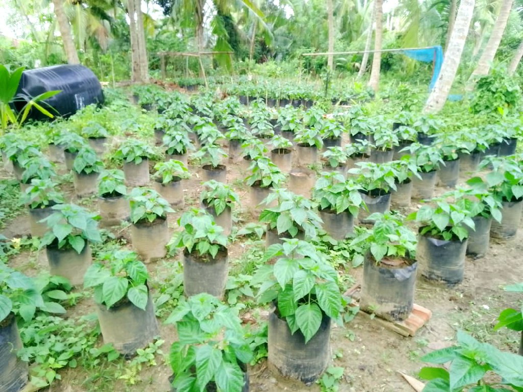 Success Image 1
